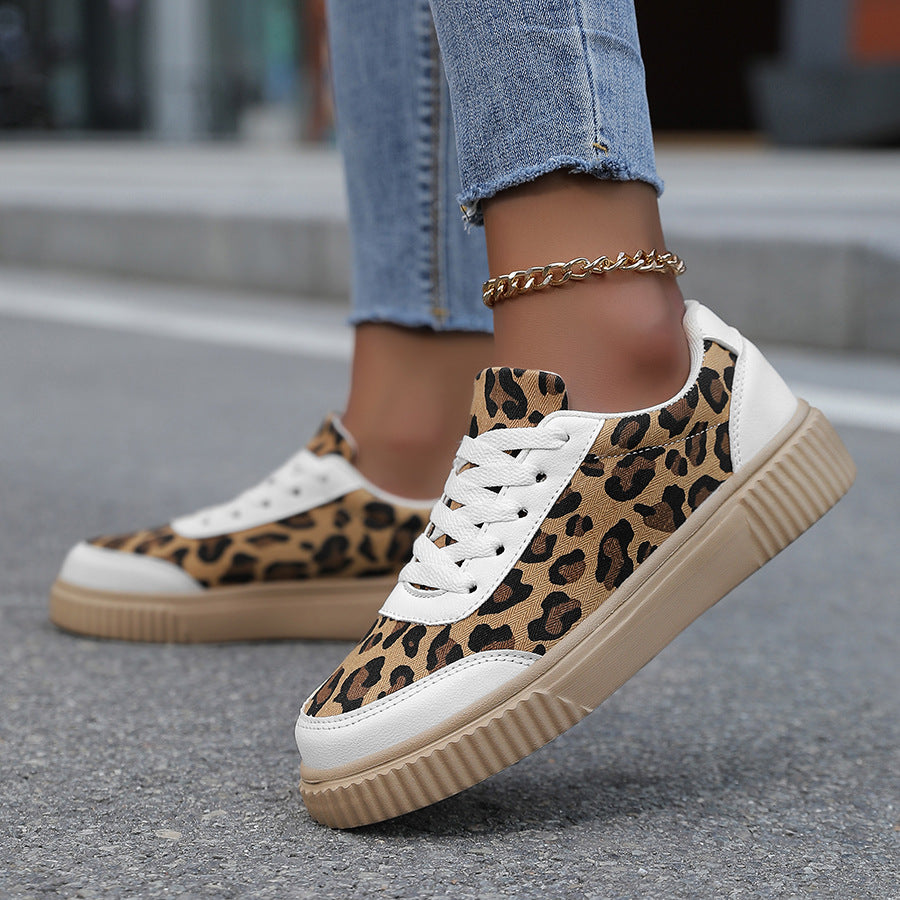 da3a53377bcd9d52f4ba5824677a5f5c