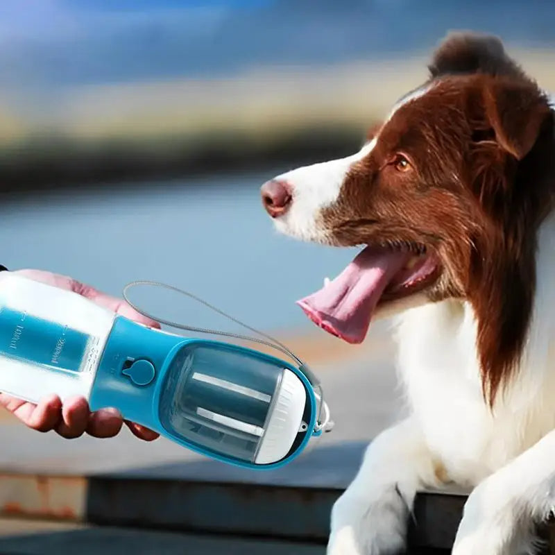 Gourde Multifonction 3-en-1 pour Animaux : L'Allié Idéal des Balades et Randonnées
