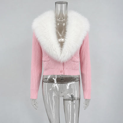 7877bc38e4c484cd61d0744264417e92
